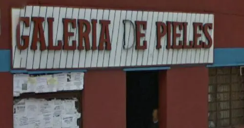 GALERIA DE PIELES GALERIA DE PIELES